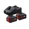 Bosch -  ProCore18V Plus 8,0Ah+GAL18V-160 1600A02X03